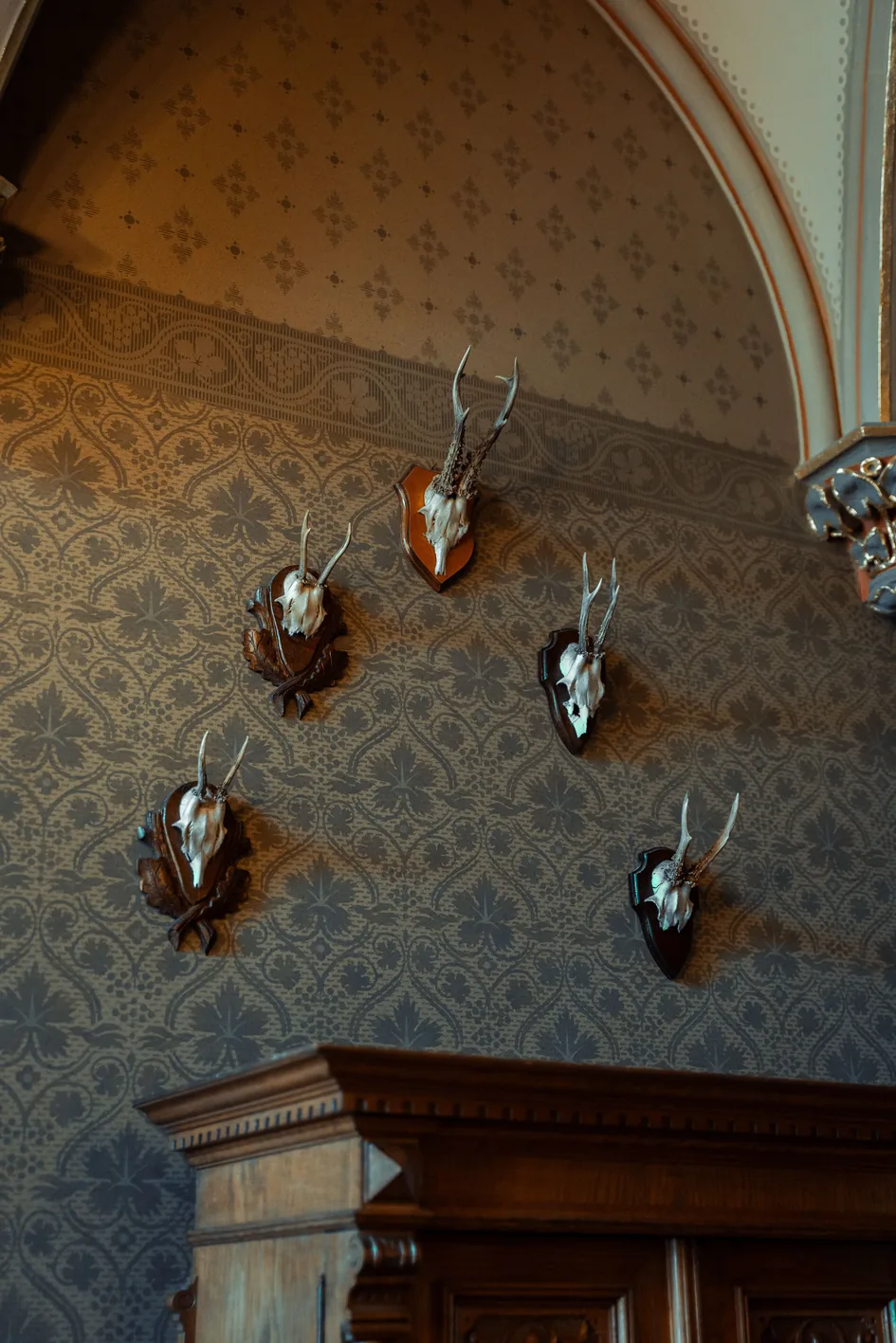 Mounted antlers on an old patterned wall