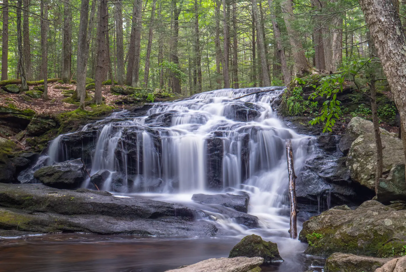 A small waterfall spilling over rocks in the woods