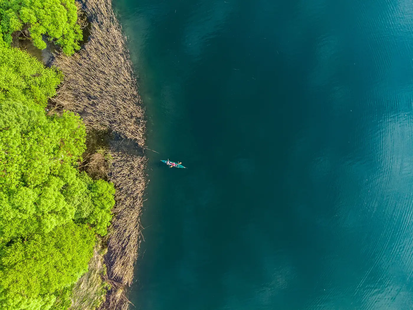 A kayaker paddling across clear green water along a wooded shore