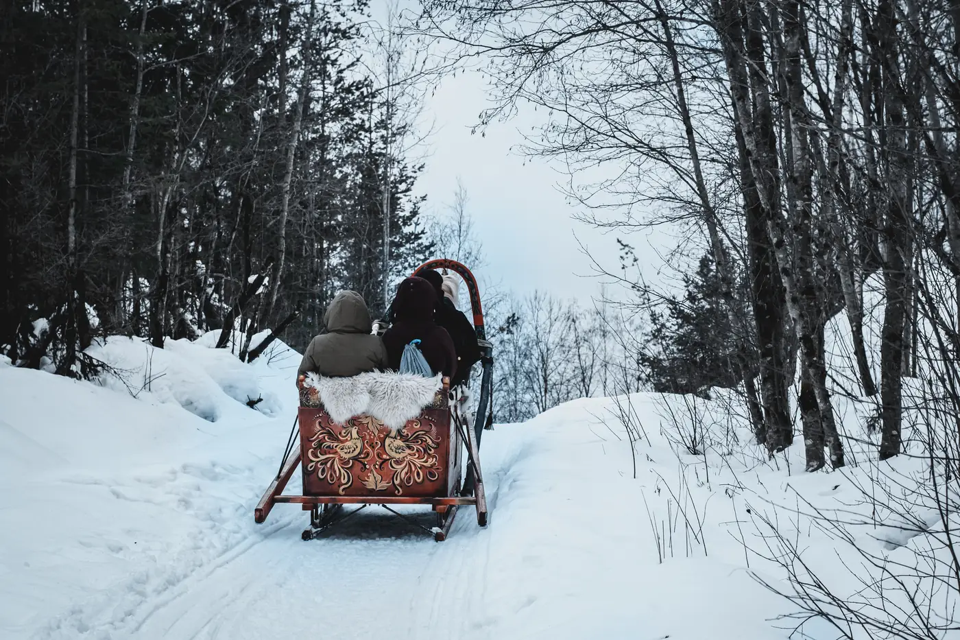 A horse drawn sleigh heading down a snowy forest trail