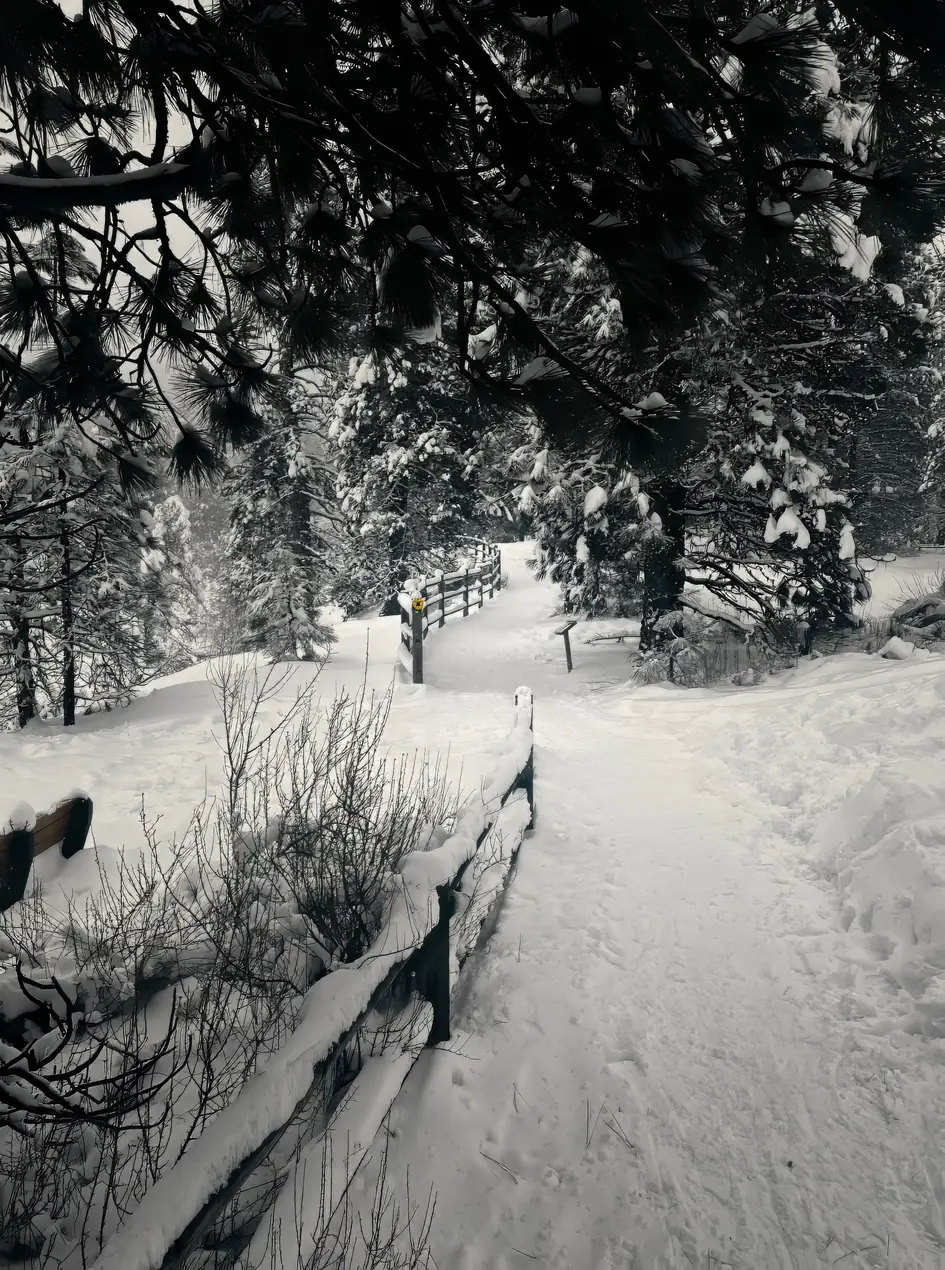 A snowy footpath through the forest in Leavenworth, Washington