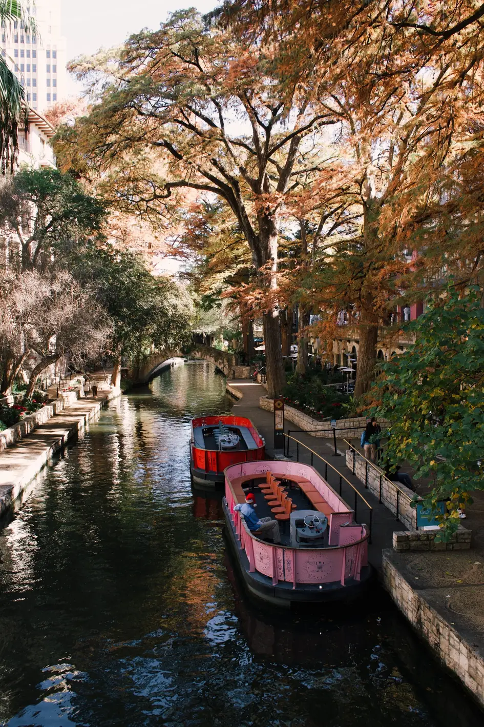 Tour boats docked under cypress trees on the San Antonio River Walk