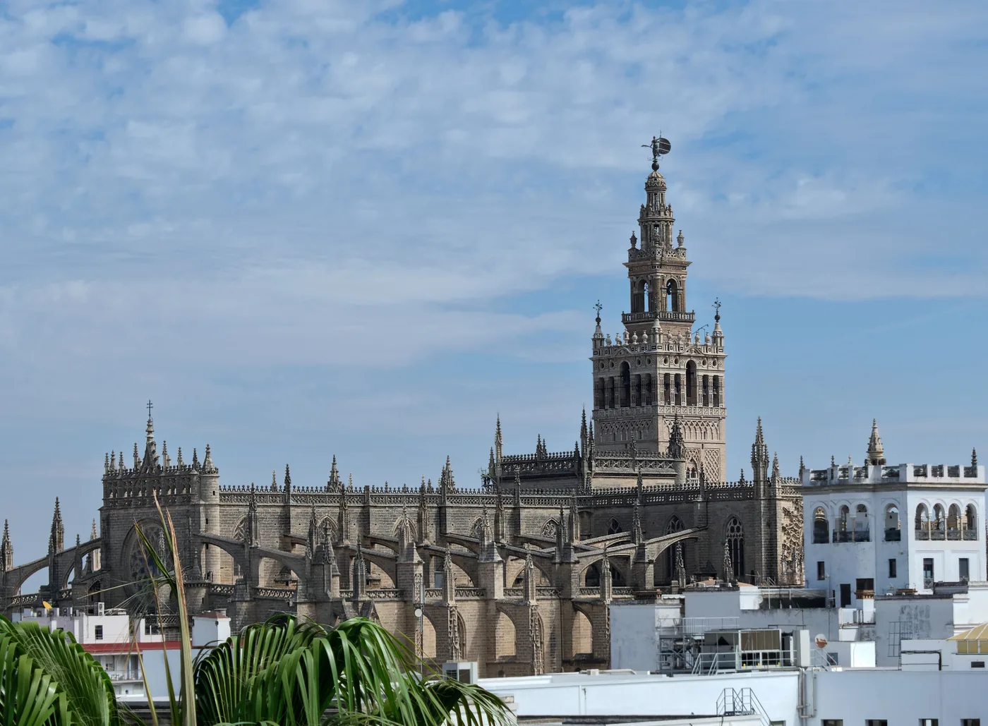 Seville Cathedral and the Giralda tower above the rooftops