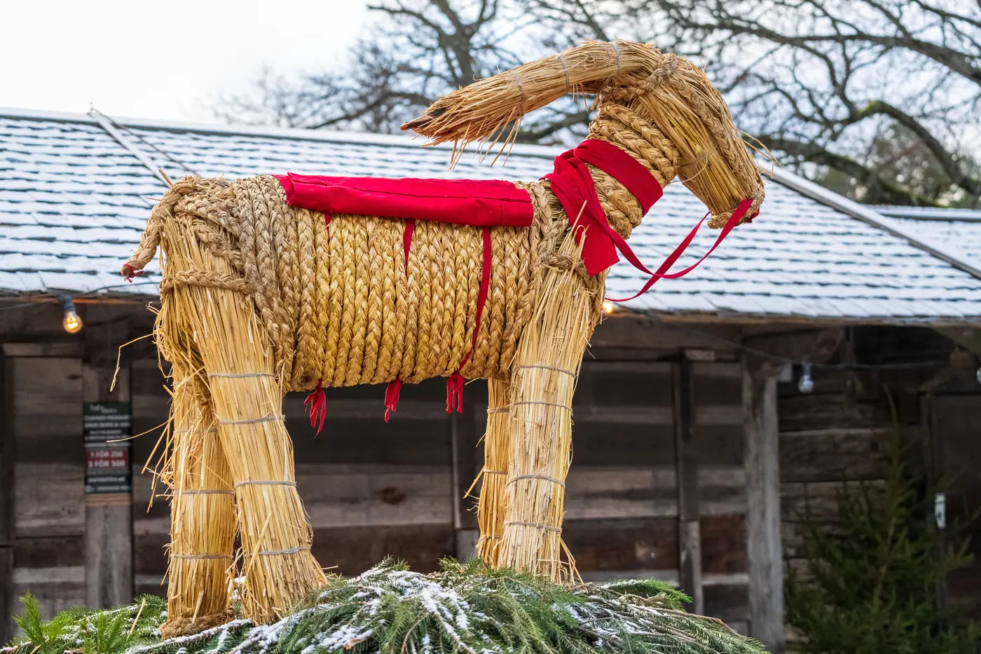 A straw Yule goat with red ribbons at Skansen in winter