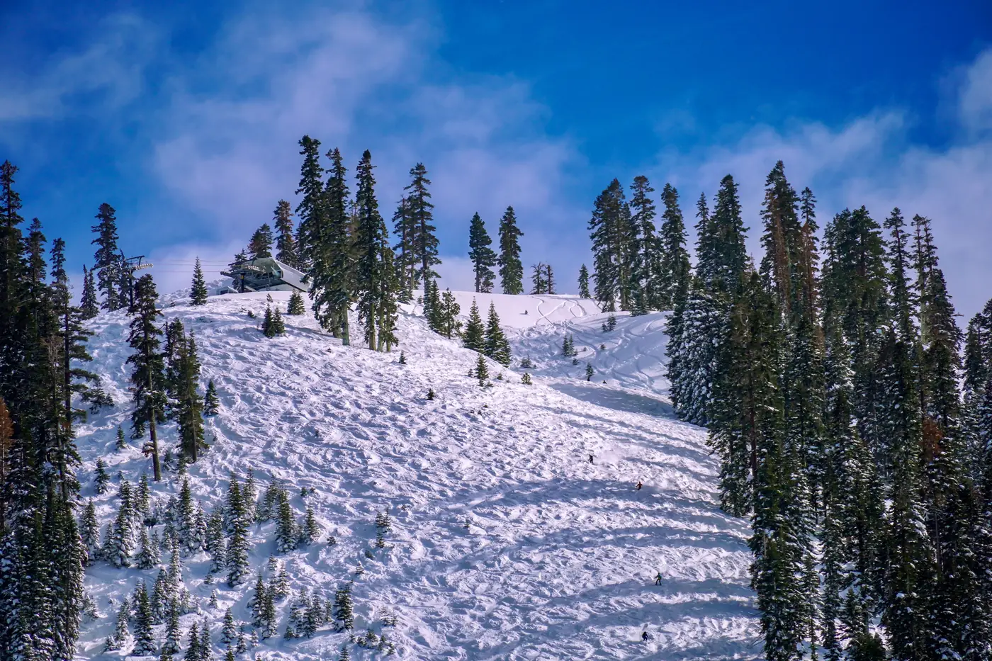 A snowy ski slope surrounded by evergreen trees